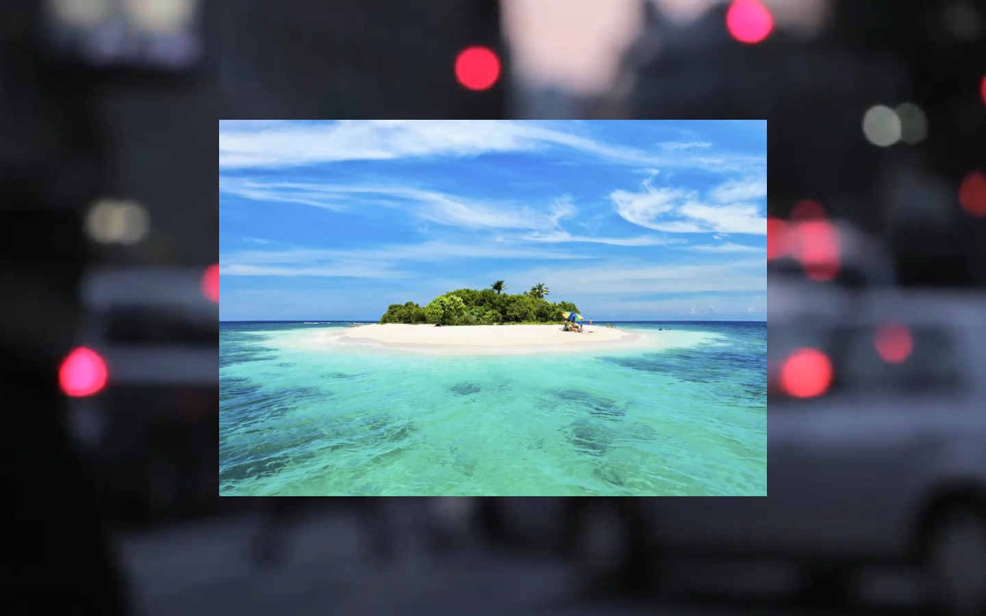 Project Screenshot 4