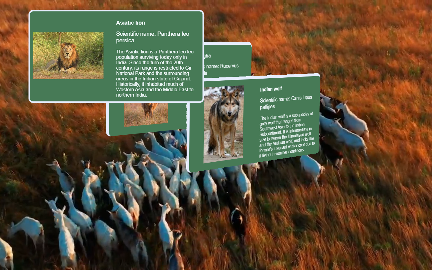 Project Screenshot 1