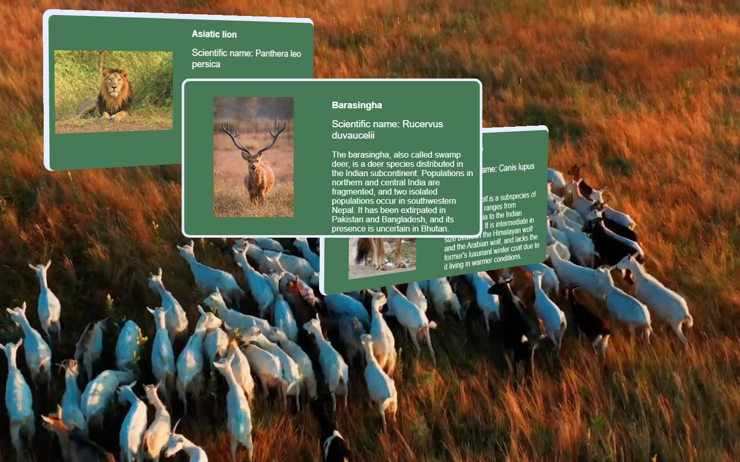 Project Screenshot 2